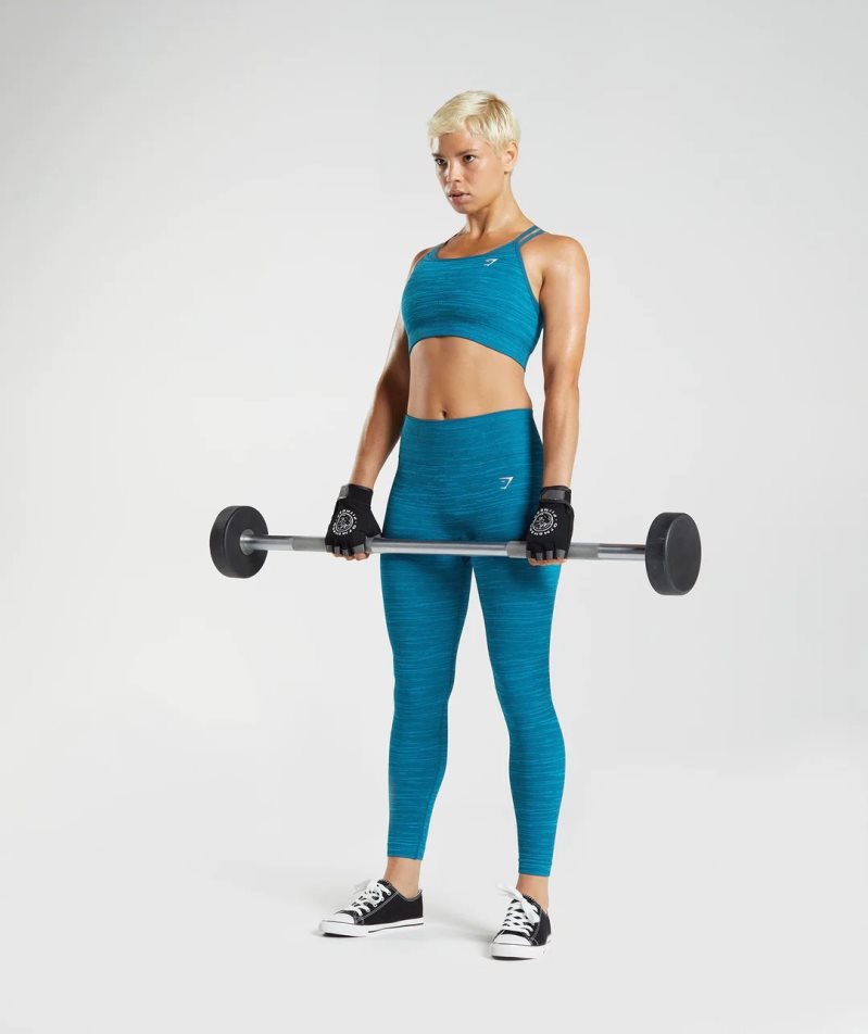 Women's Gymshark Adapt Marl Seamless Leggings Blue | CA 8A7DN3